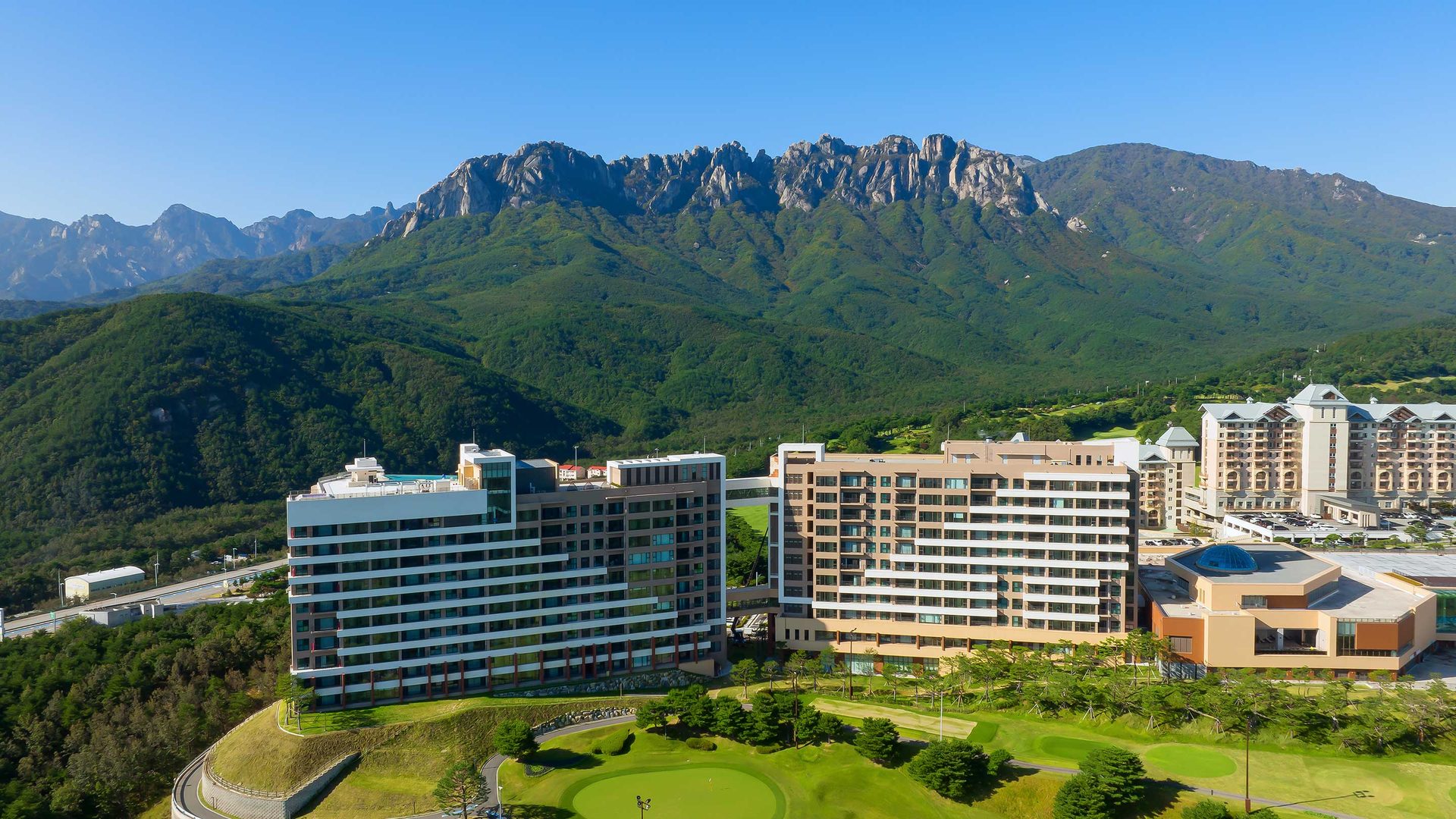 소노펠리체 델피노